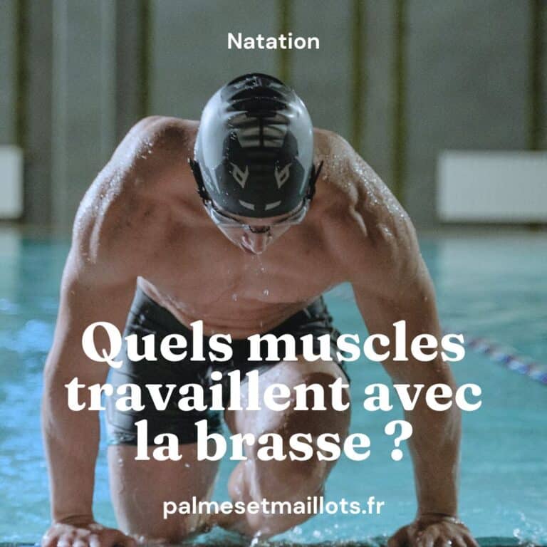 Lire la suite à propos de l’article Quels muscles travaillent avec la brasse ?
