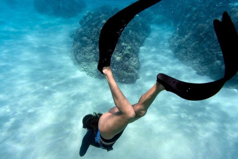 Découvrez comment débuter la plongée sous-marine, quel équipement choisir, où plonger en France et les règles de sécurité à connaître. Guide 2025.